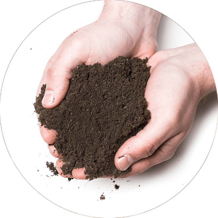 hands holding Van Beek's VeggiePro Soil